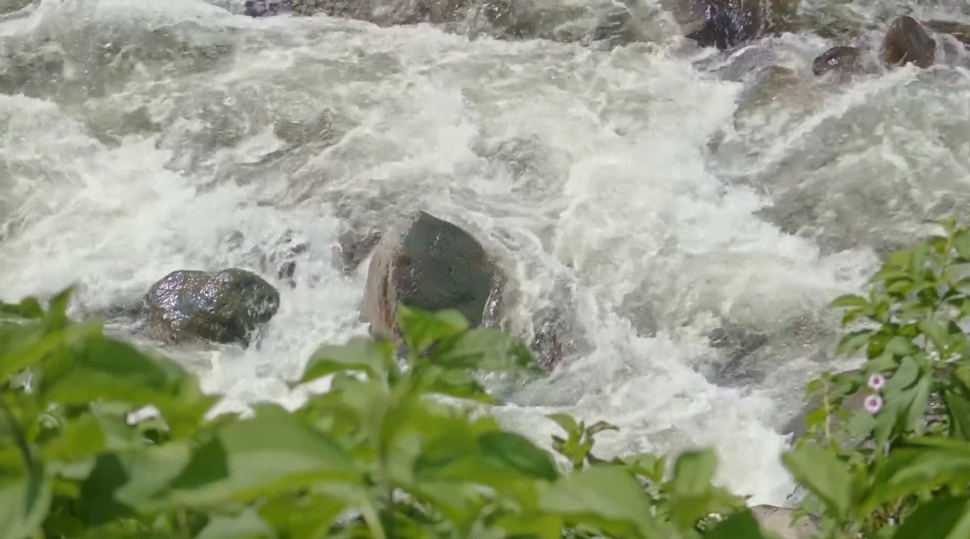 El latido del agua - capítulo 2