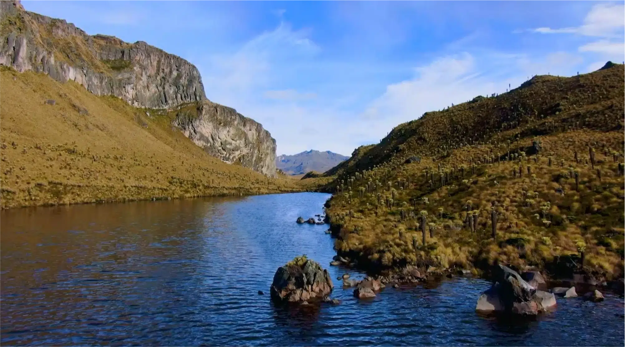 video-section-banner-image