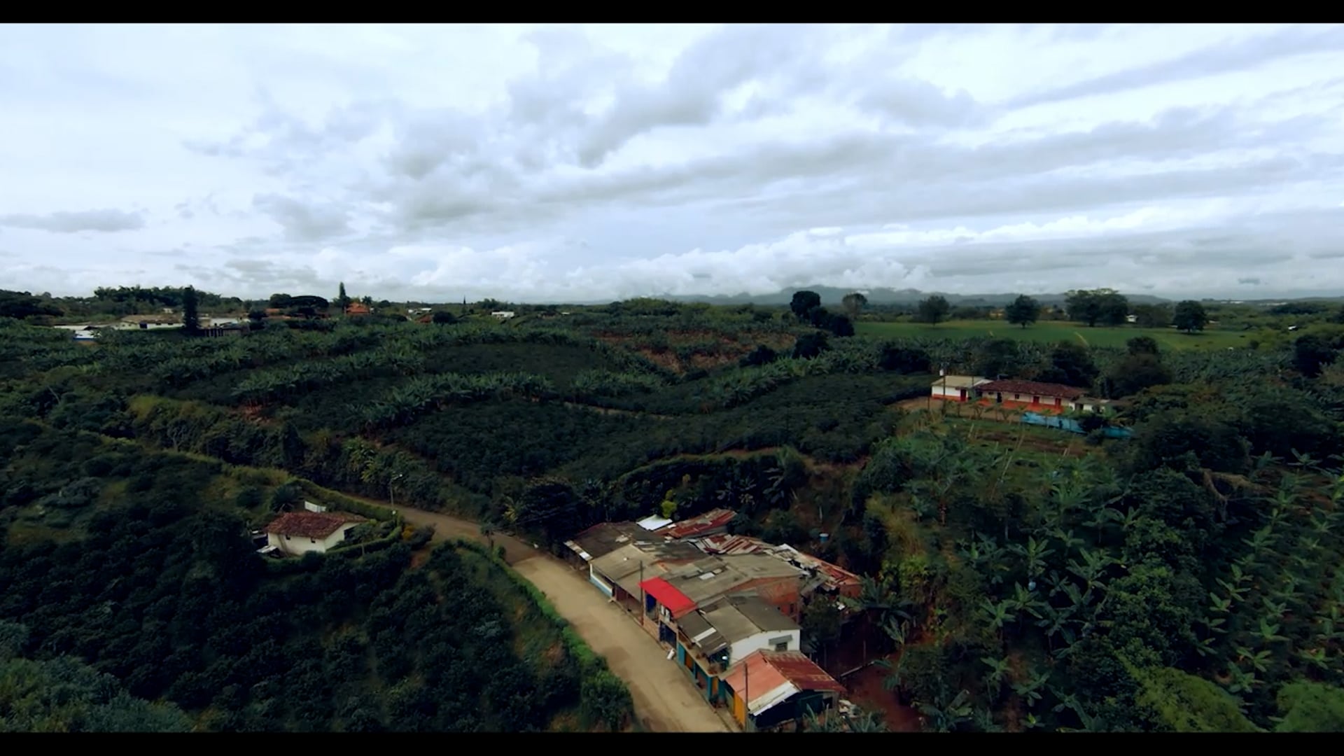 La parcela - Capítulo 1