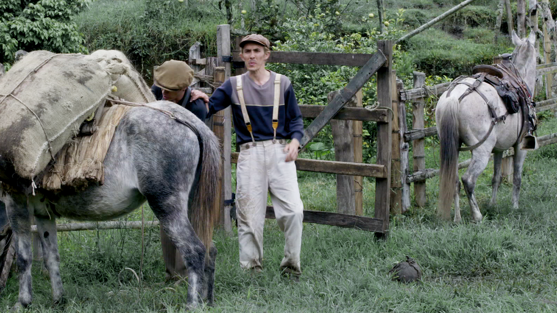 Peruco - capítulo 1