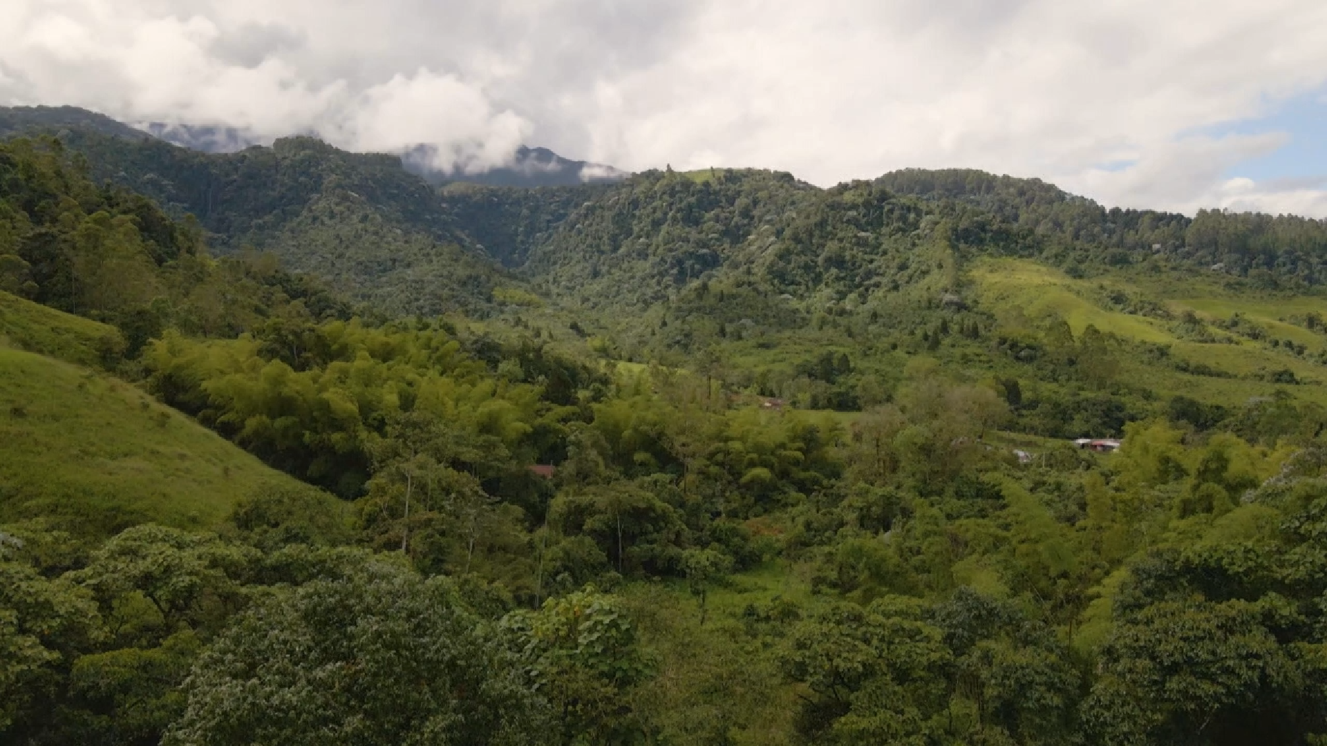 ENTRE EL PROGRESO Y LA CONSERVACIÓN