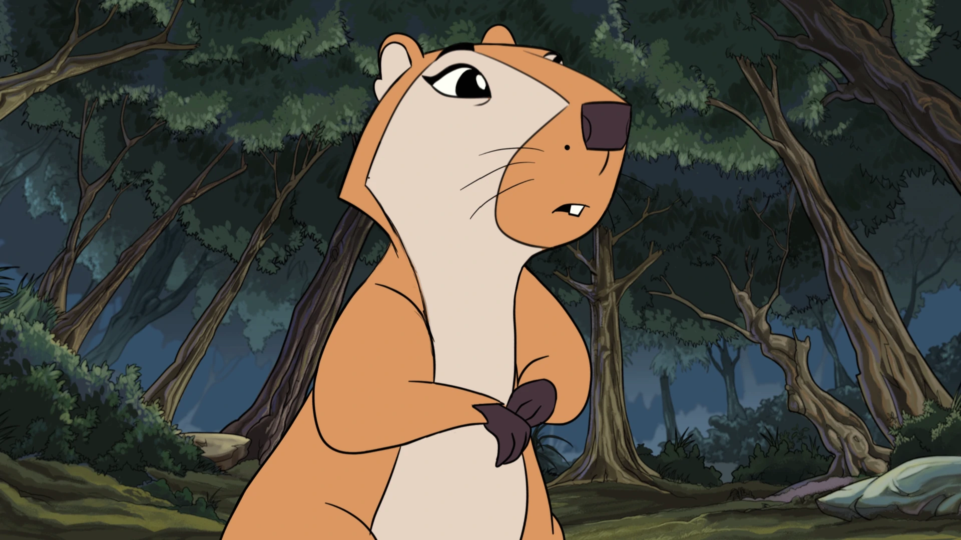 video-section-banner-image