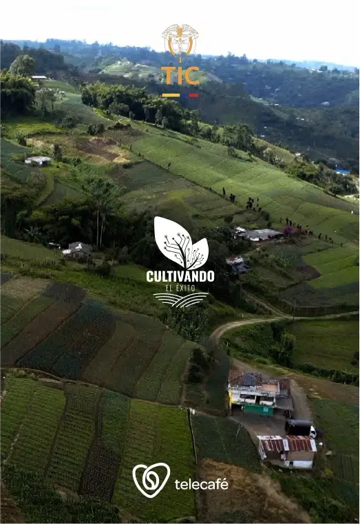 Cultivando el éxito