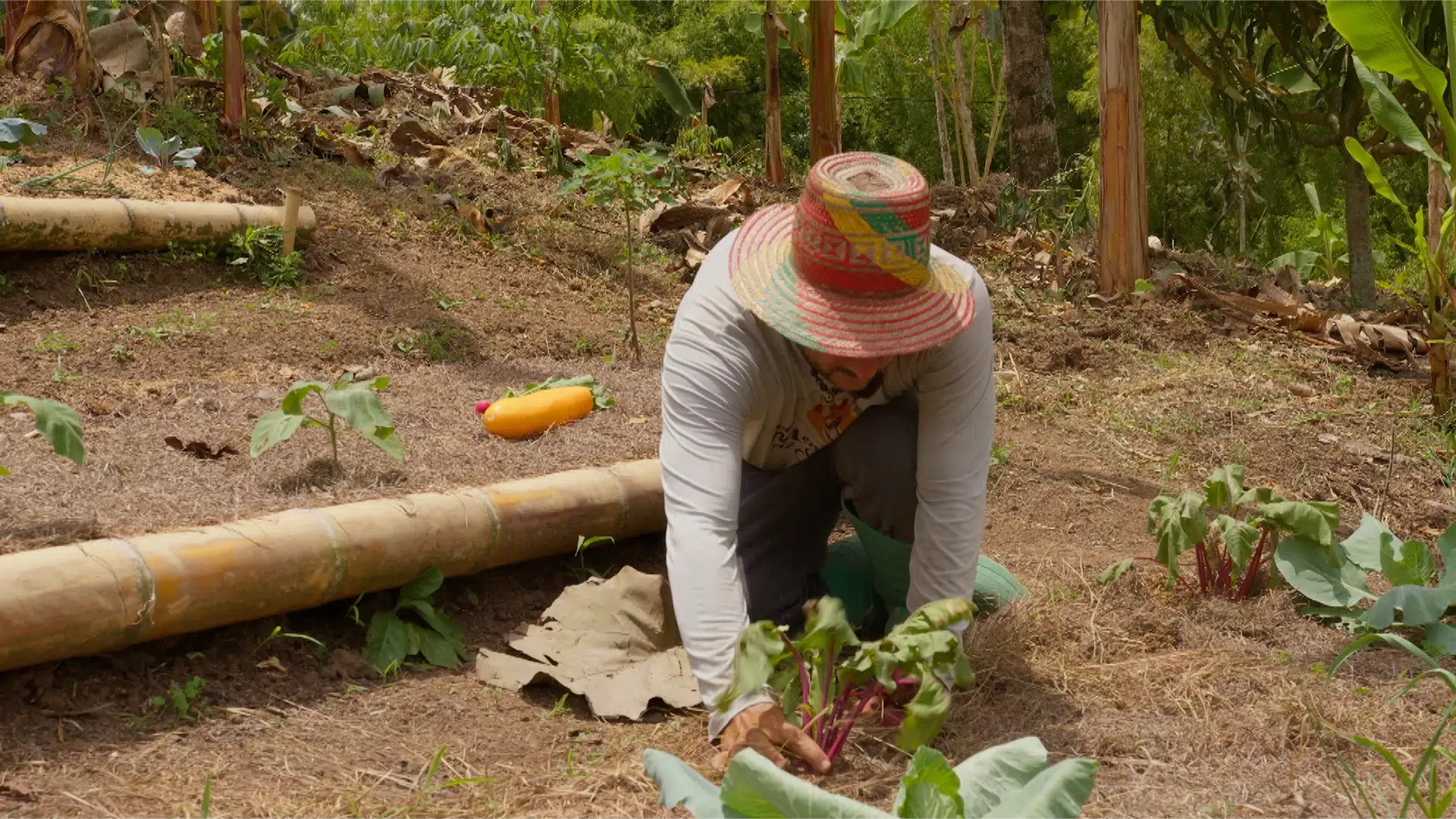 video-section-banner-image