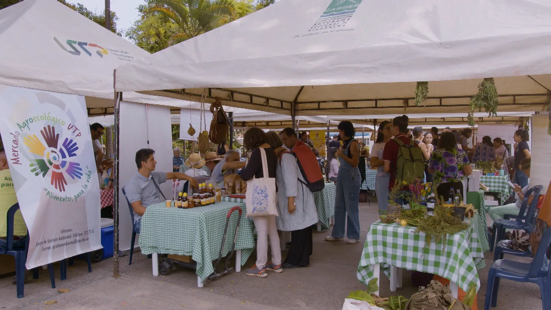 Cosechando los frutos del éxito