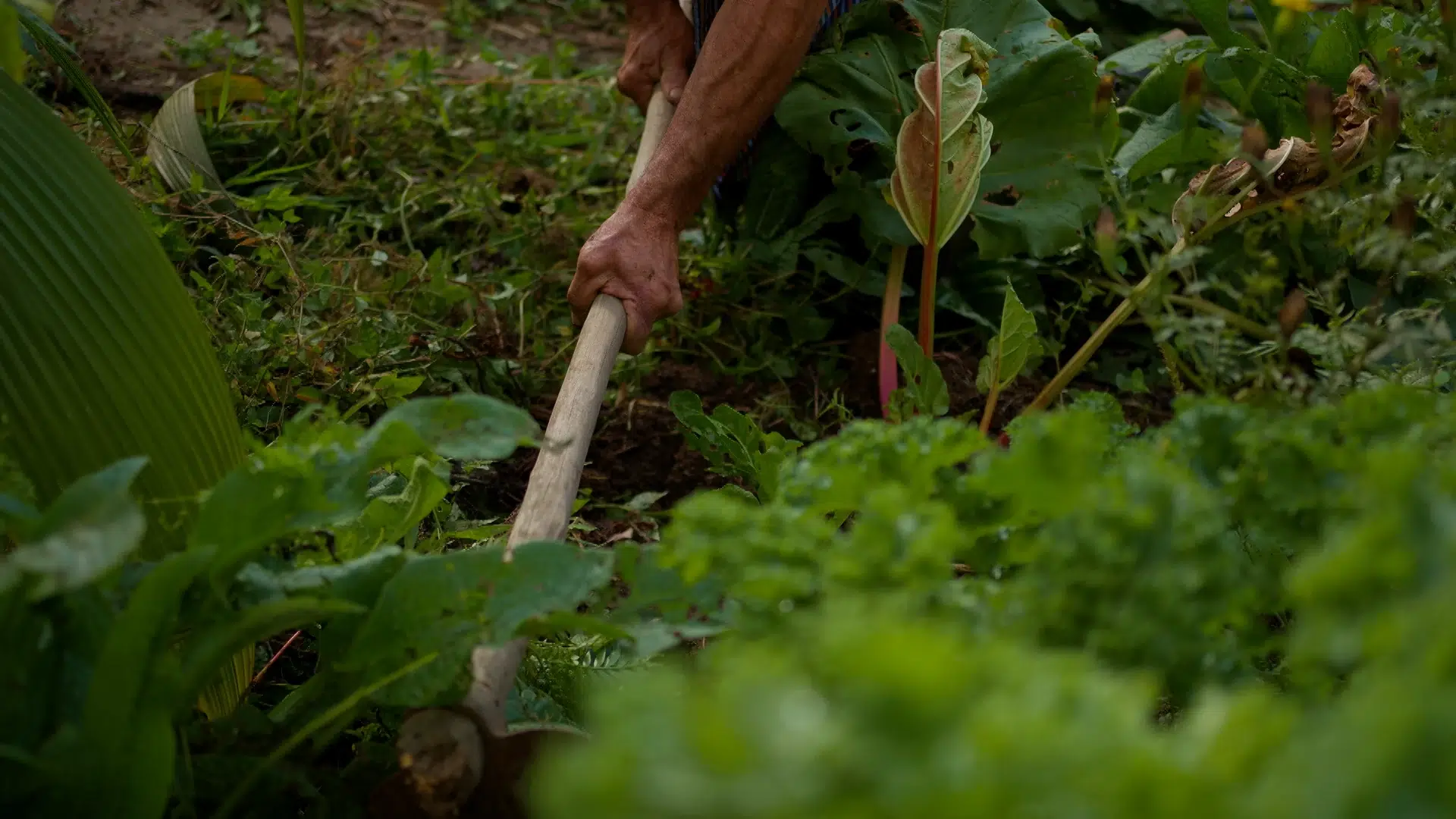 Enfrentando los desafíos del clima digital