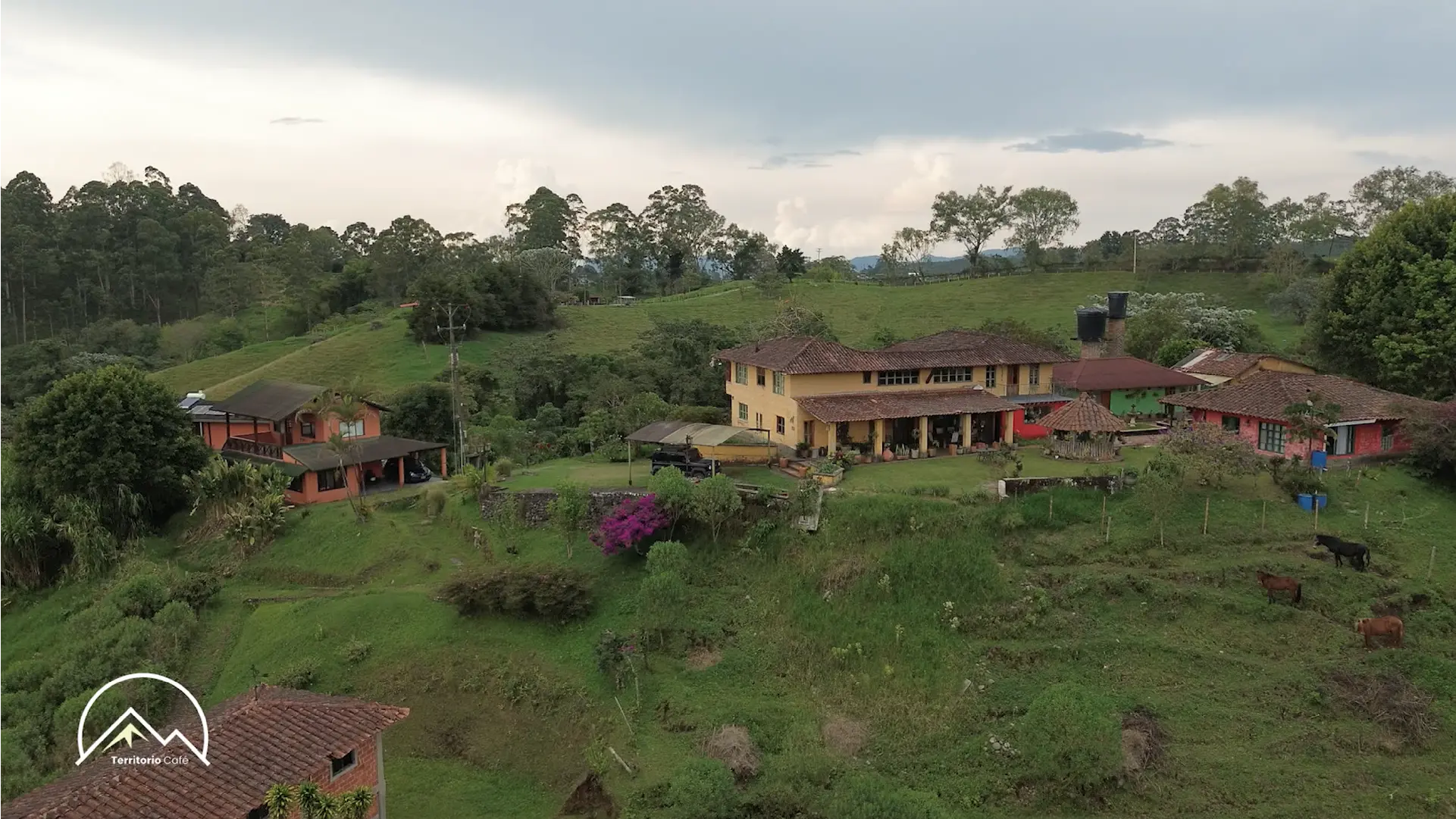 Territorio Café - Cap 14