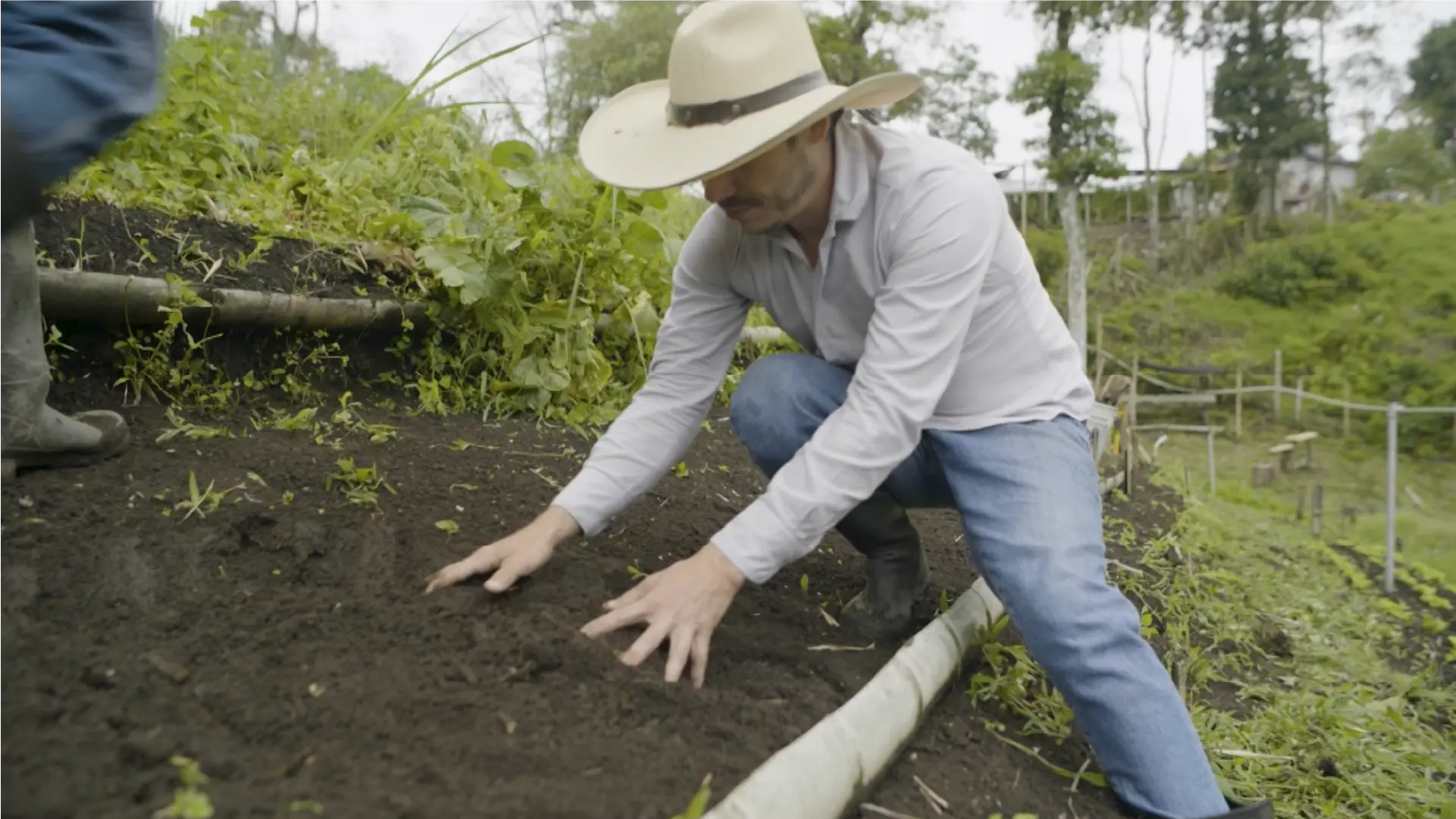 Territorio Café - Cap 16