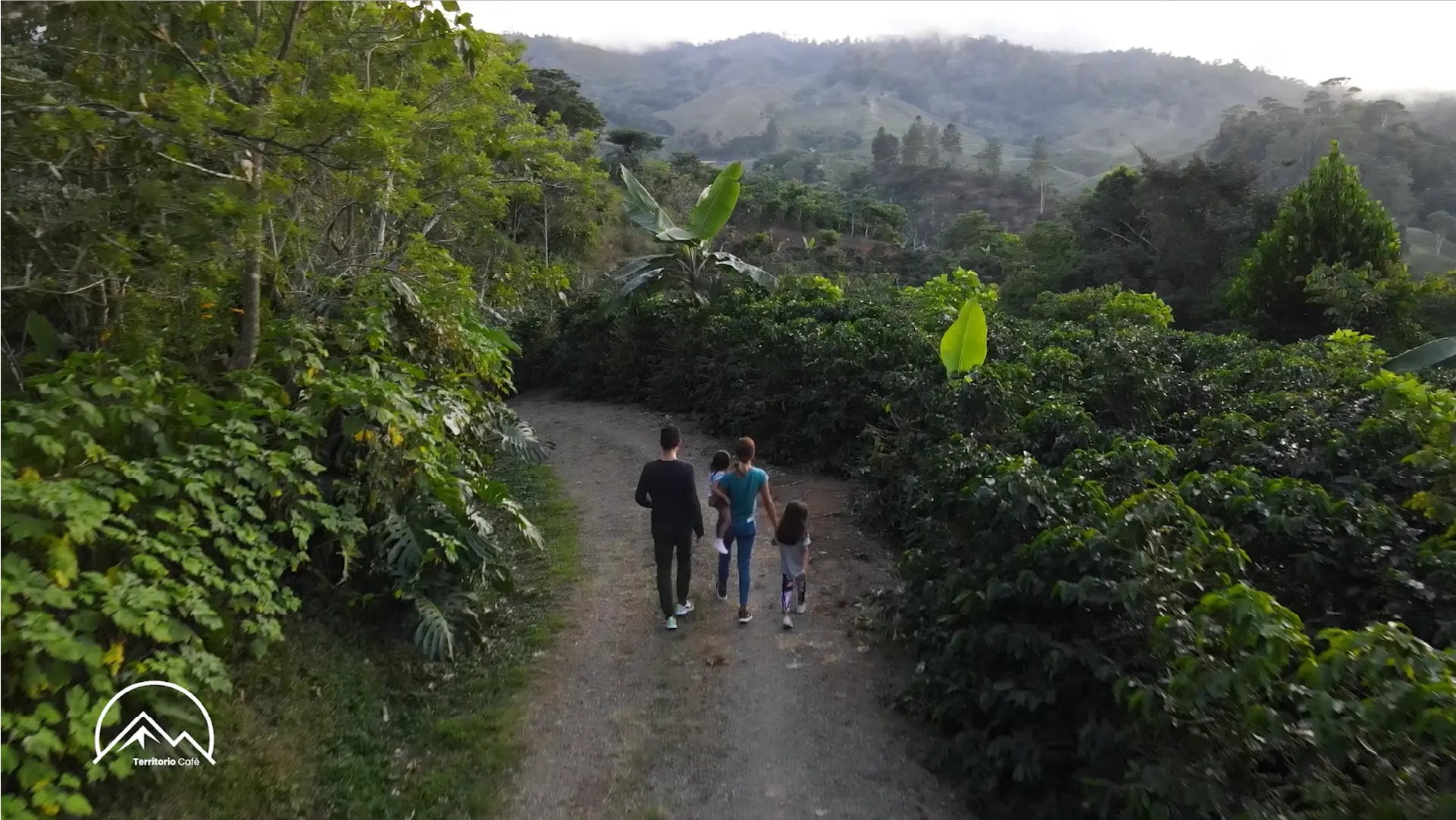 Territorio Café - Cap 2
