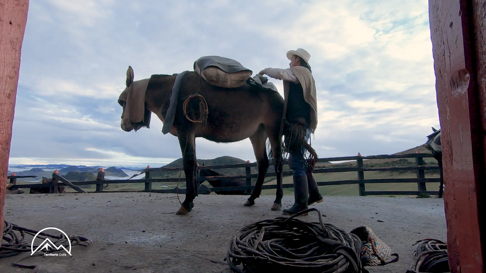 Territorio Café - Cap 20