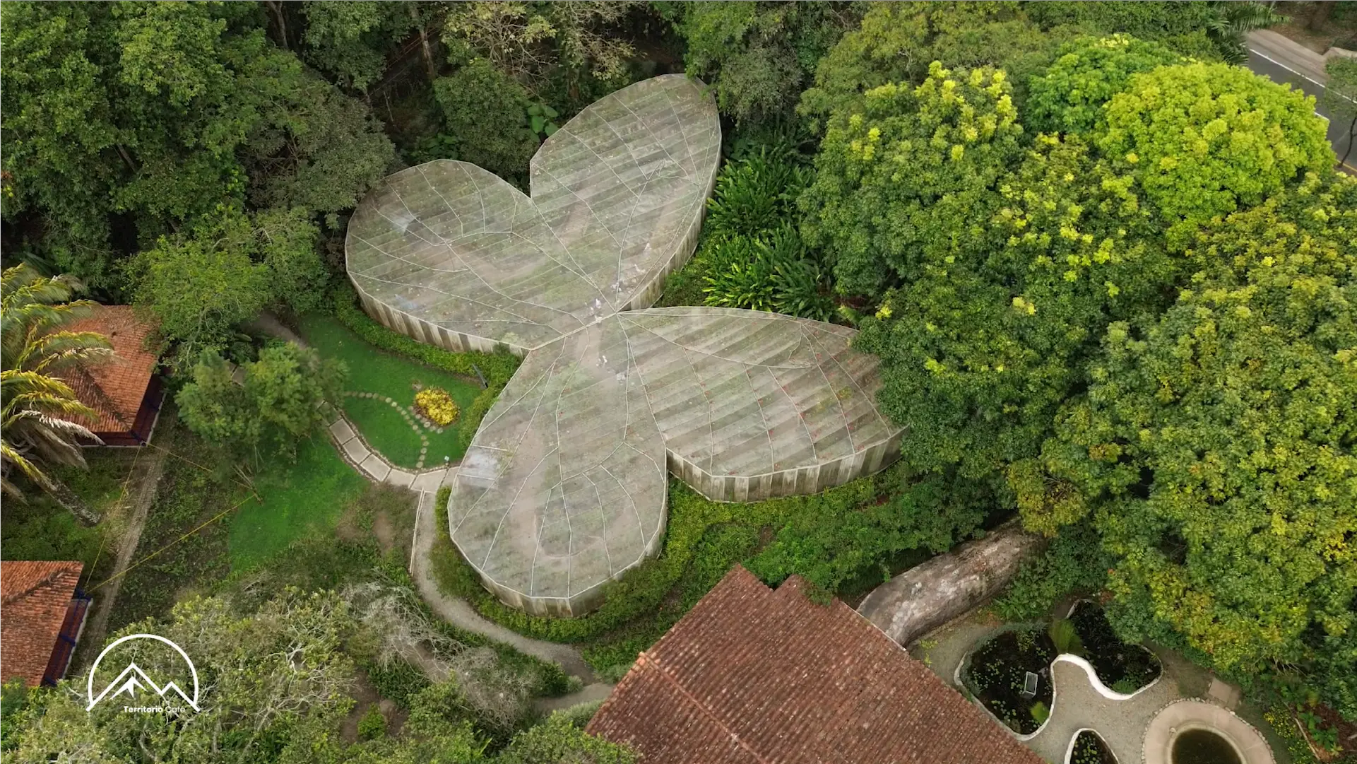 Territorio Café - Cap 3