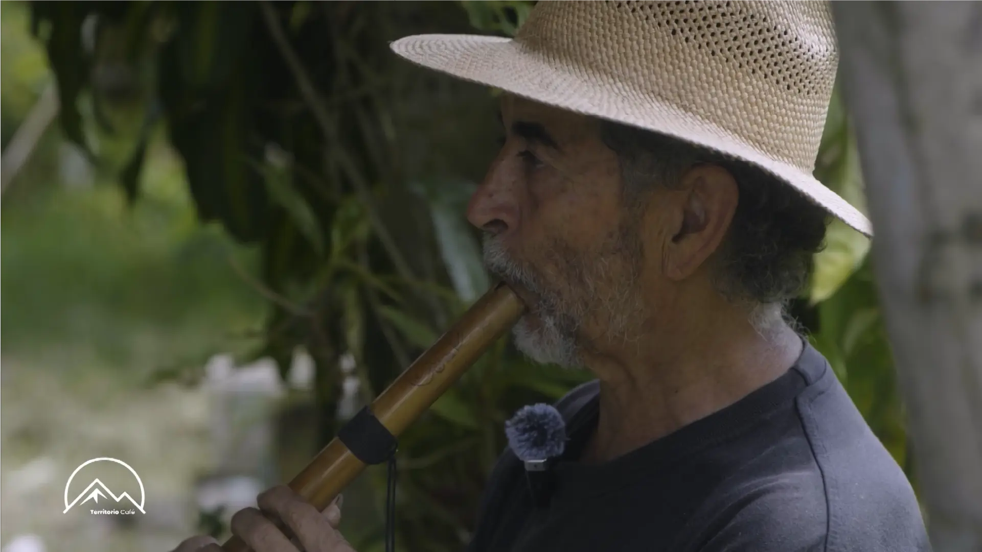 Territorio Café - Cap 4