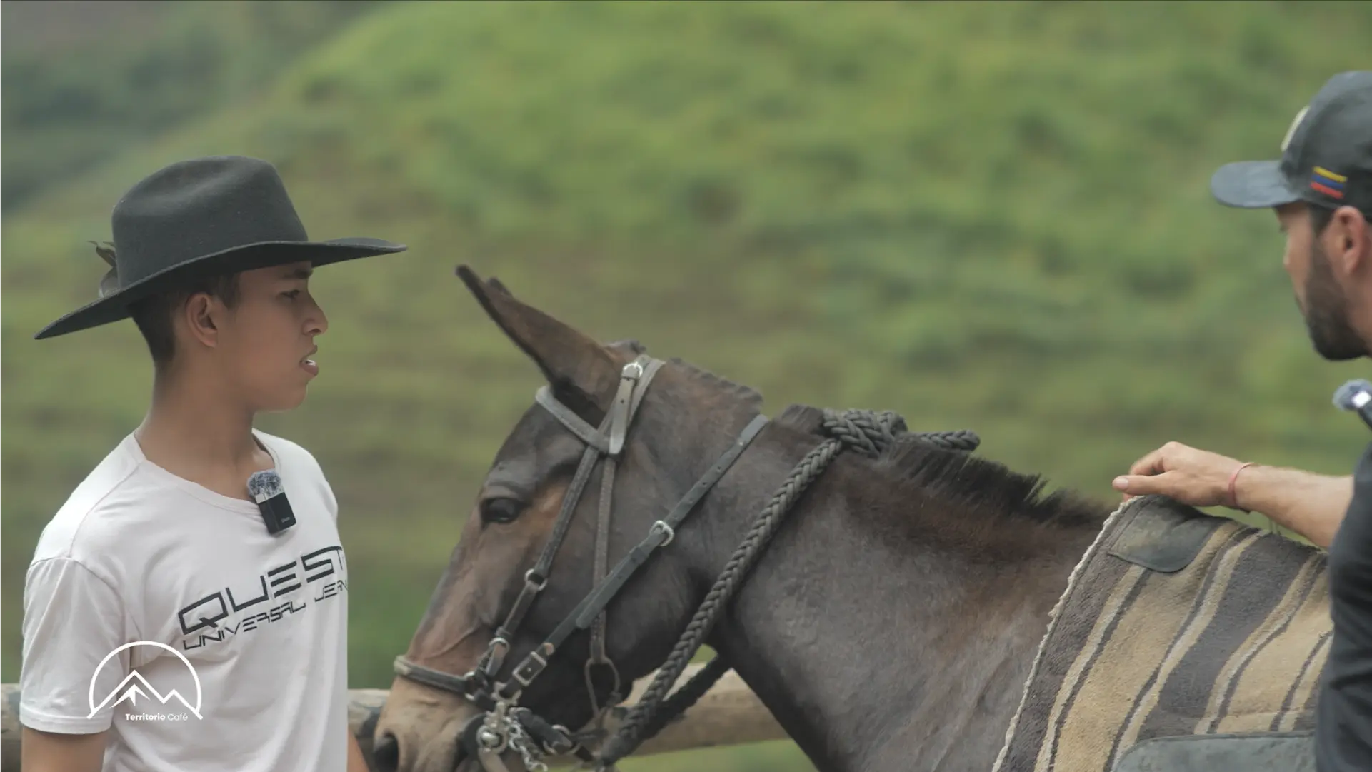 Territorio Café - Cap 6