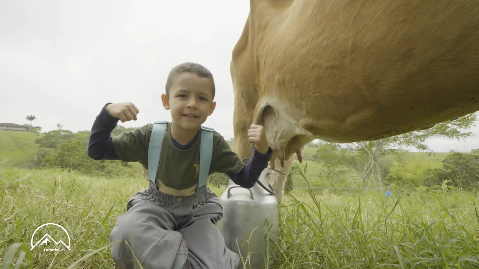 Territorio Café - Cap 8